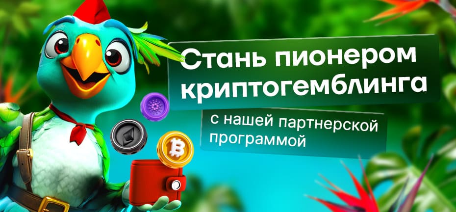 Крипто партнерская программа Rioaff